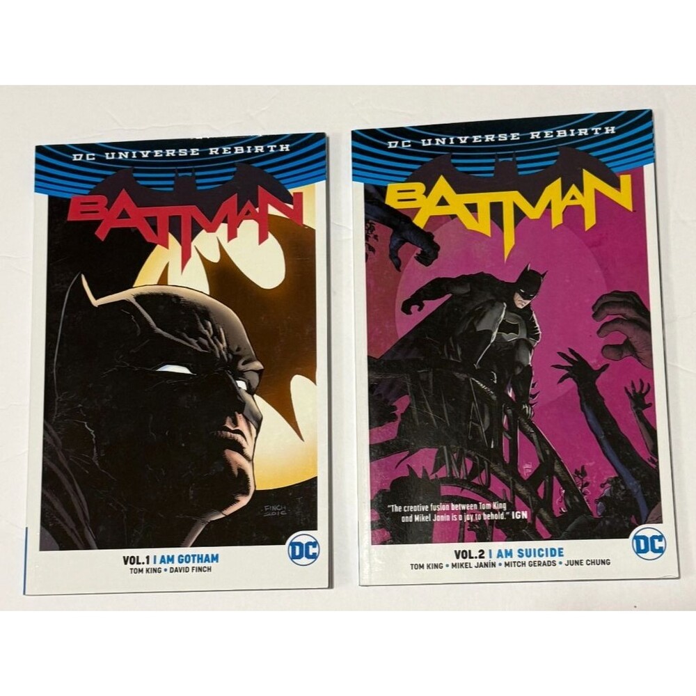 Batman DC Universe I Am Rebirth Suicide Graphic Novel Comic Vol 1 2 Tom King TPB